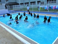 IMG_8485.jpg