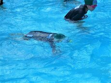 IMG_8491.jpg