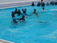 IMG_8584.jpg