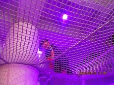 IMG_5074.jpg