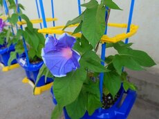 IMG_0055.jpg