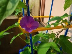 IMG_0057.jpg