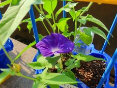 IMG_0058.jpg
