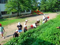 IMG_0073.jpg