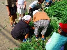 IMG_0075.jpg