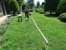 IMG_0080.jpg