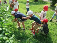IMG_0175.jpg