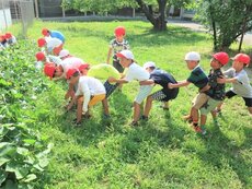 IMG_0180.jpg