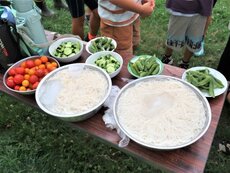 IMG_0213.jpg