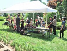 IMG_0215.jpg