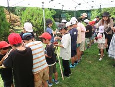 IMG_0221.jpg