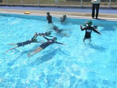 IMG_0269.jpg