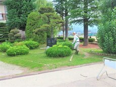 IMG_8623.jpg