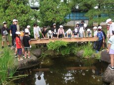 IMG_8767.jpg