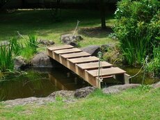 IMG_8876.jpg