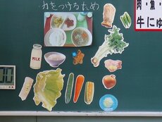 IMG_8997.jpg