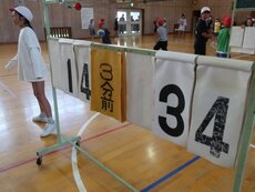 IMG_9114.jpg