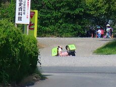 IMG_9256.jpg