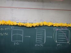 IMG_9656.jpg