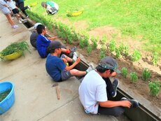 IMG_9680.jpg