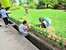 IMG_9681.jpg