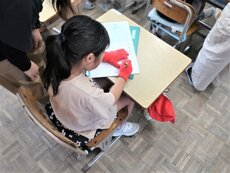 IMG_9776.jpg