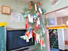 IMG_9824.jpg