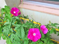 IMG_0627.jpg
