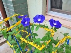 IMG_0628.jpg