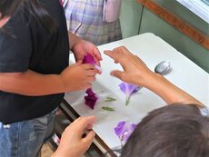 IMG_0635.jpg