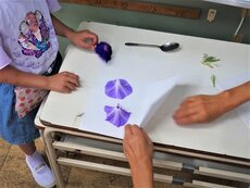 IMG_0637.jpg