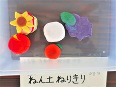 IMG_0741.jpg