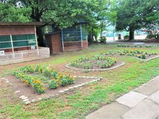 IMG_0797.jpg