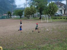 IMG_0805.jpg