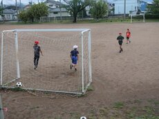 IMG_0808.jpg