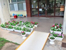 IMG_0809.jpg