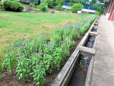 IMG_0811.jpg