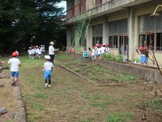 IMG_0853.jpg
