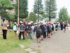 IMG_1238.jpg