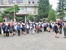 IMG_1241.jpg
