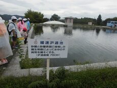 CIMG5632.jpg