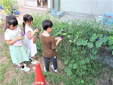 IMG_0871.jpg