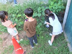 IMG_0874.jpg