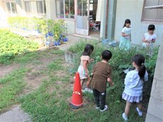 IMG_0875.jpg