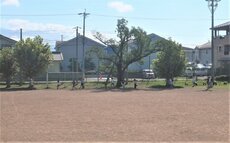 IMG_0885.jpg