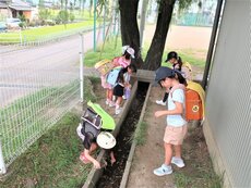 IMG_0916.jpg