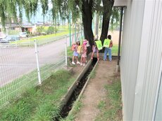 IMG_0917.jpg