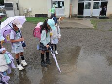 IMG_0941.jpg