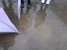 IMG_0942.jpg