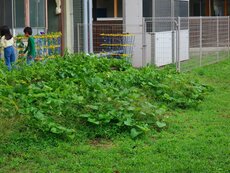 IMG_0953.jpg